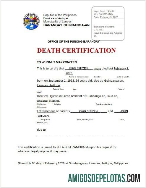 Punt de Laua exemplo